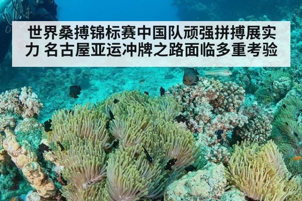 世界桑搏锦标赛中国队顽强拼搏展实力 名古屋亚运冲牌之路面临多重考验
